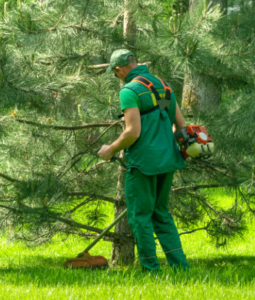 Świadczenie usług dla mieszkańców Gminy